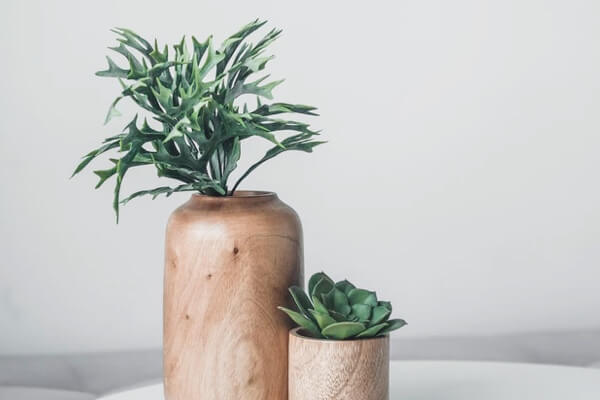 در کمترین زمان سایتهای زیبایی ایجاد کنید