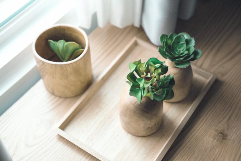 وب سایت حرفه ای ایجاد کنید
