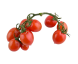 گوجه گیلاسی